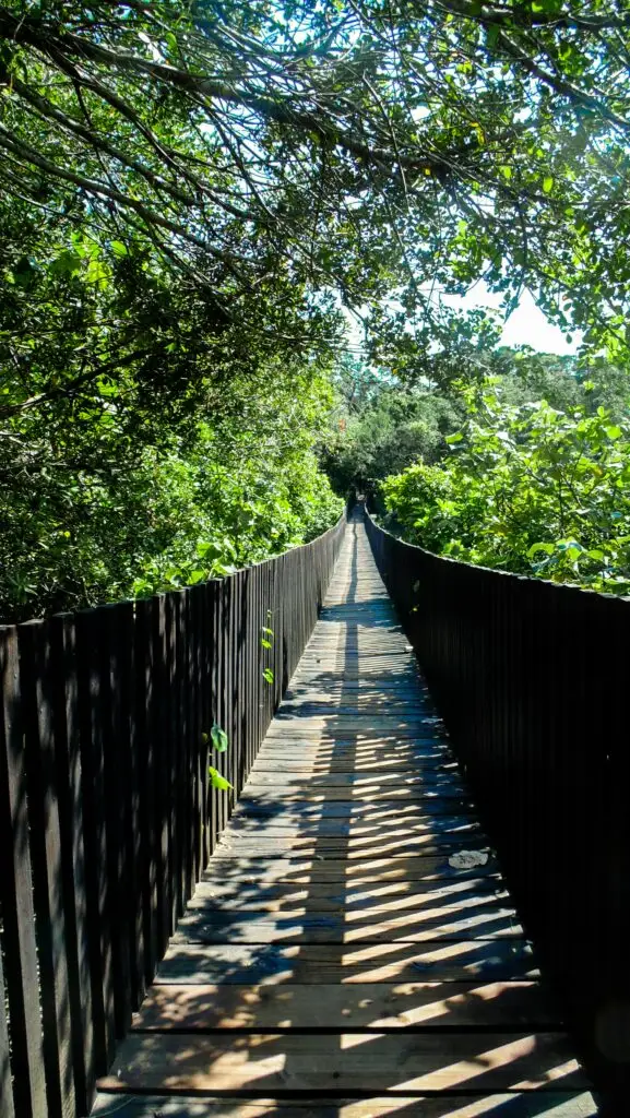 How To Make A New City Feel Like Home 2